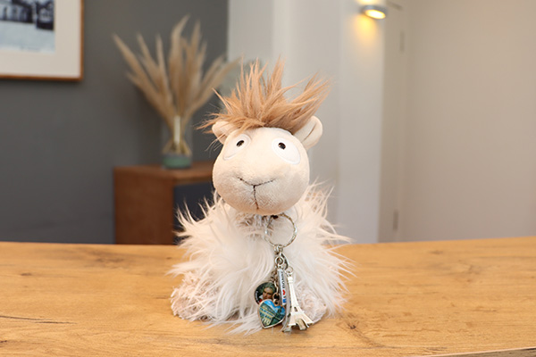 Team_Karli Das Praxismaskottchen Karli, ein weißes Stoffschaaf.